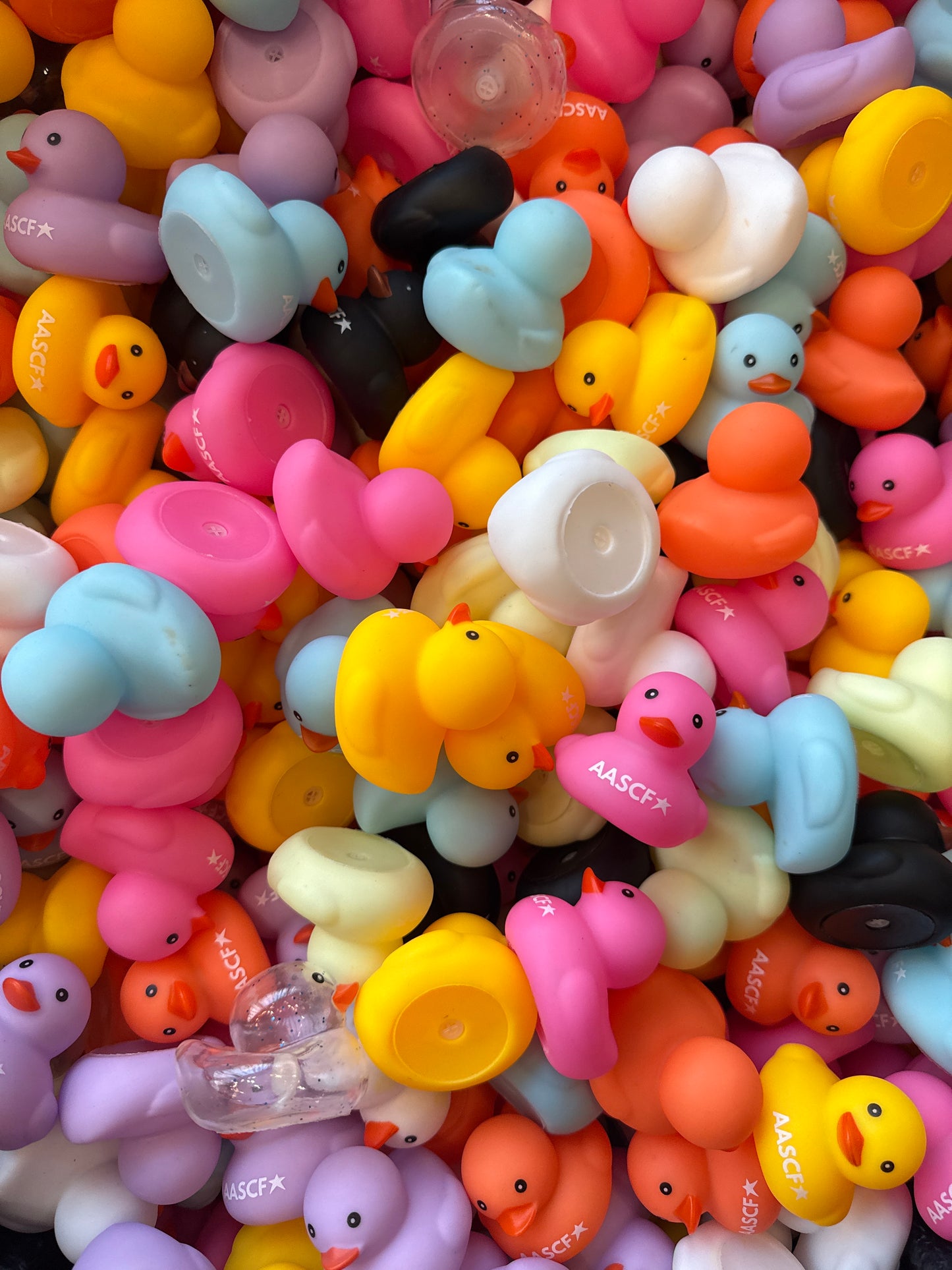 AASCF Lucky Ducky