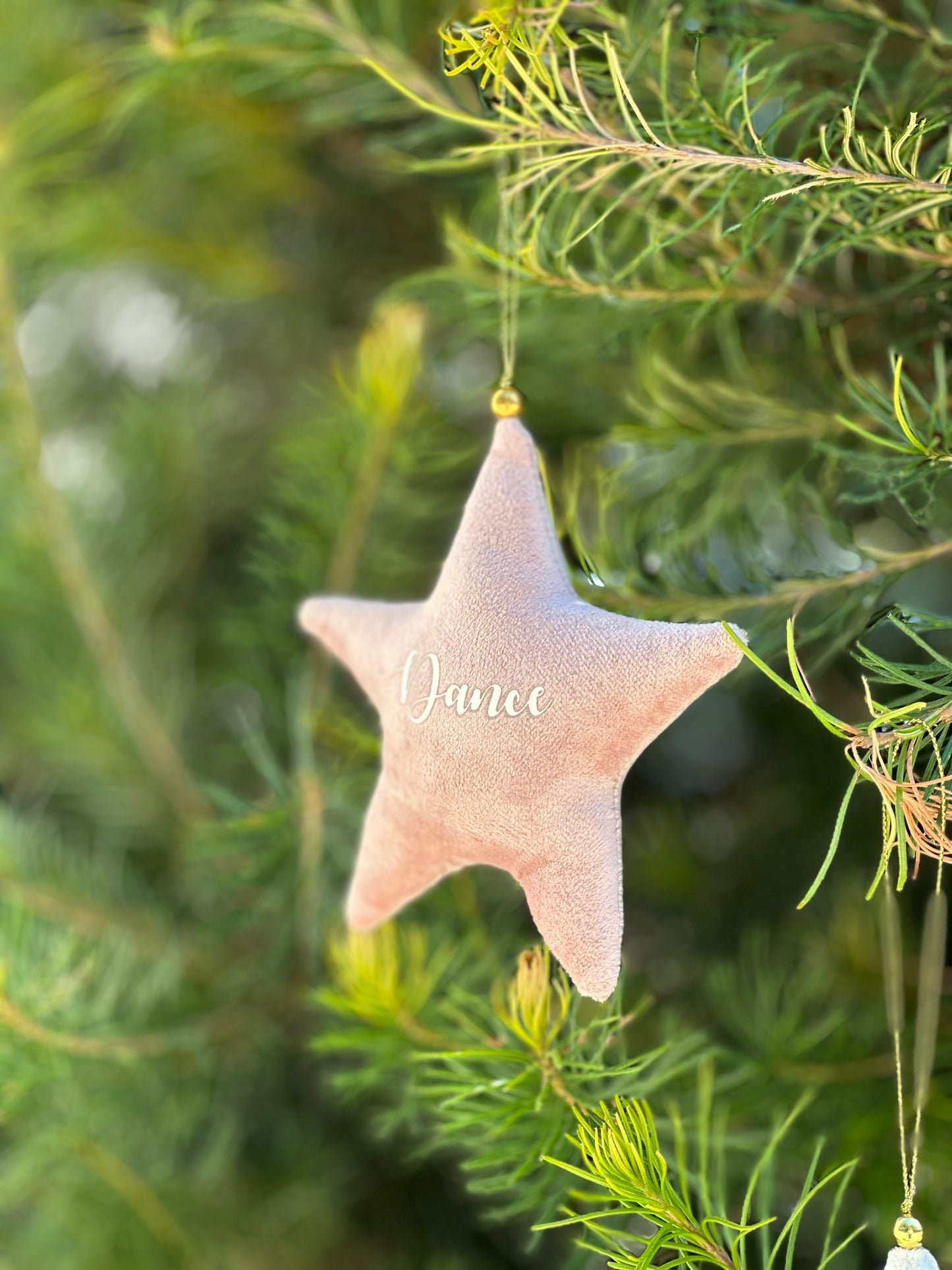 Christmas Ornament