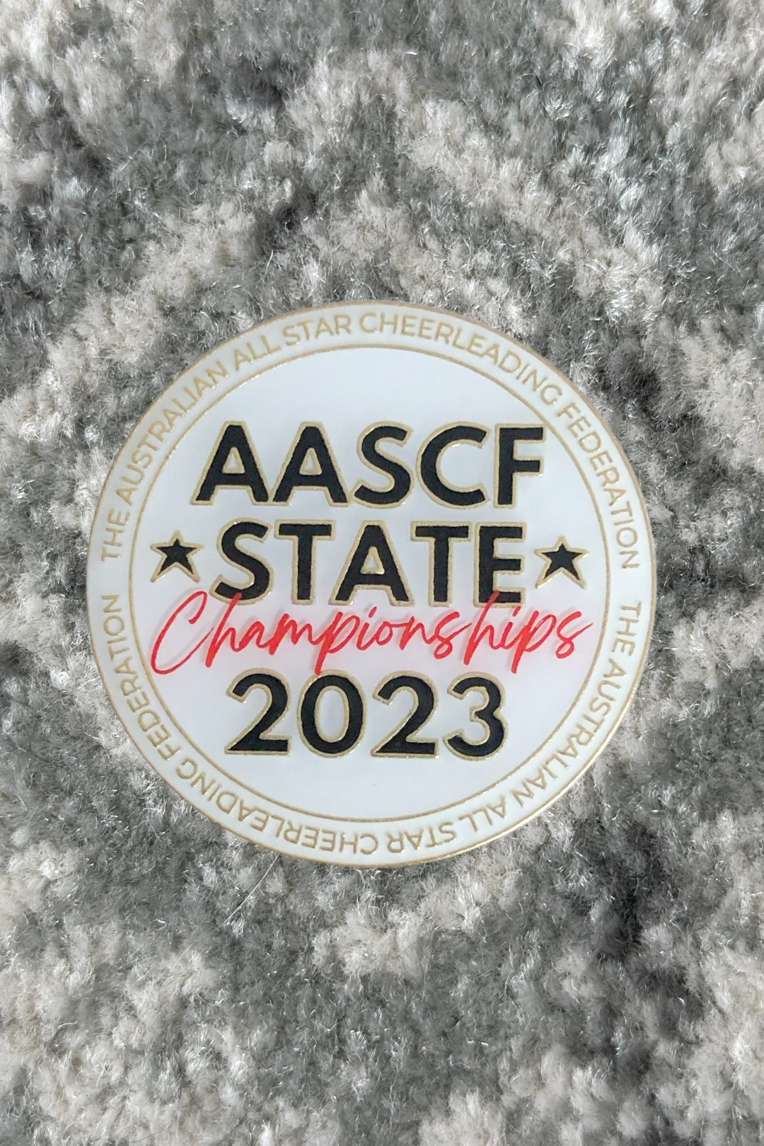 2023 States Pin